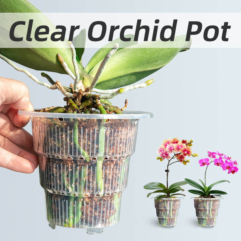 Plant Parent - Meshpot Clear Plastic Orchid Pots with