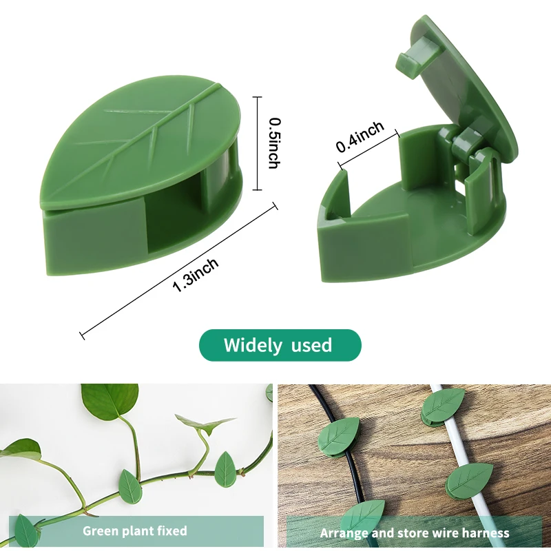 1-50Pcs invisible plant wall c - đánh giá và giá Plant Parent