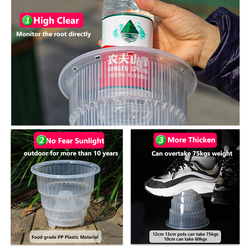 Meshpot Clear Plastic Orchid P - đánh giá và giá Plant Parent